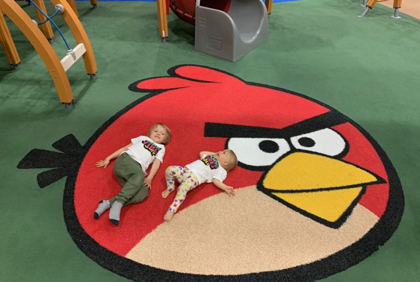 angry birds acitivity park