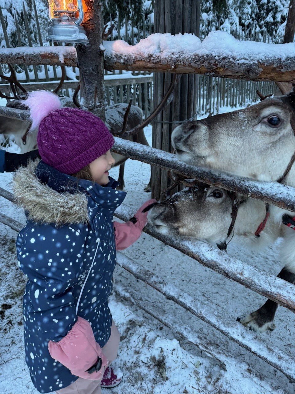 Joulu Rukalla lasten kanssa – joulupukki, porot ja lumi