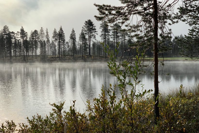 kuusamon tropiikki lampi
