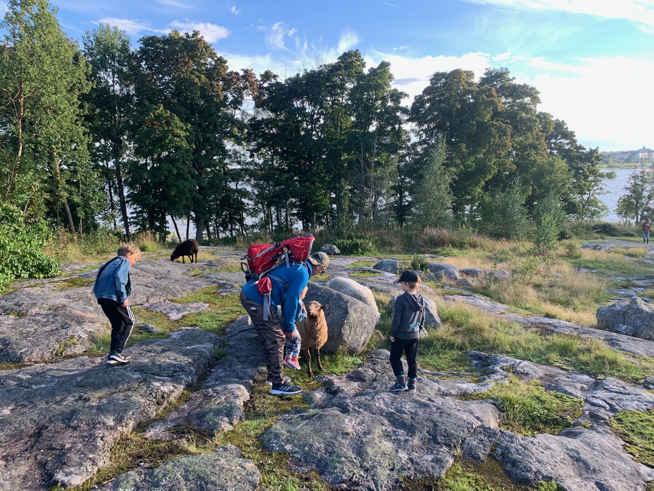 Helsingin Lammassaari ja ihana esteetön luontopolku