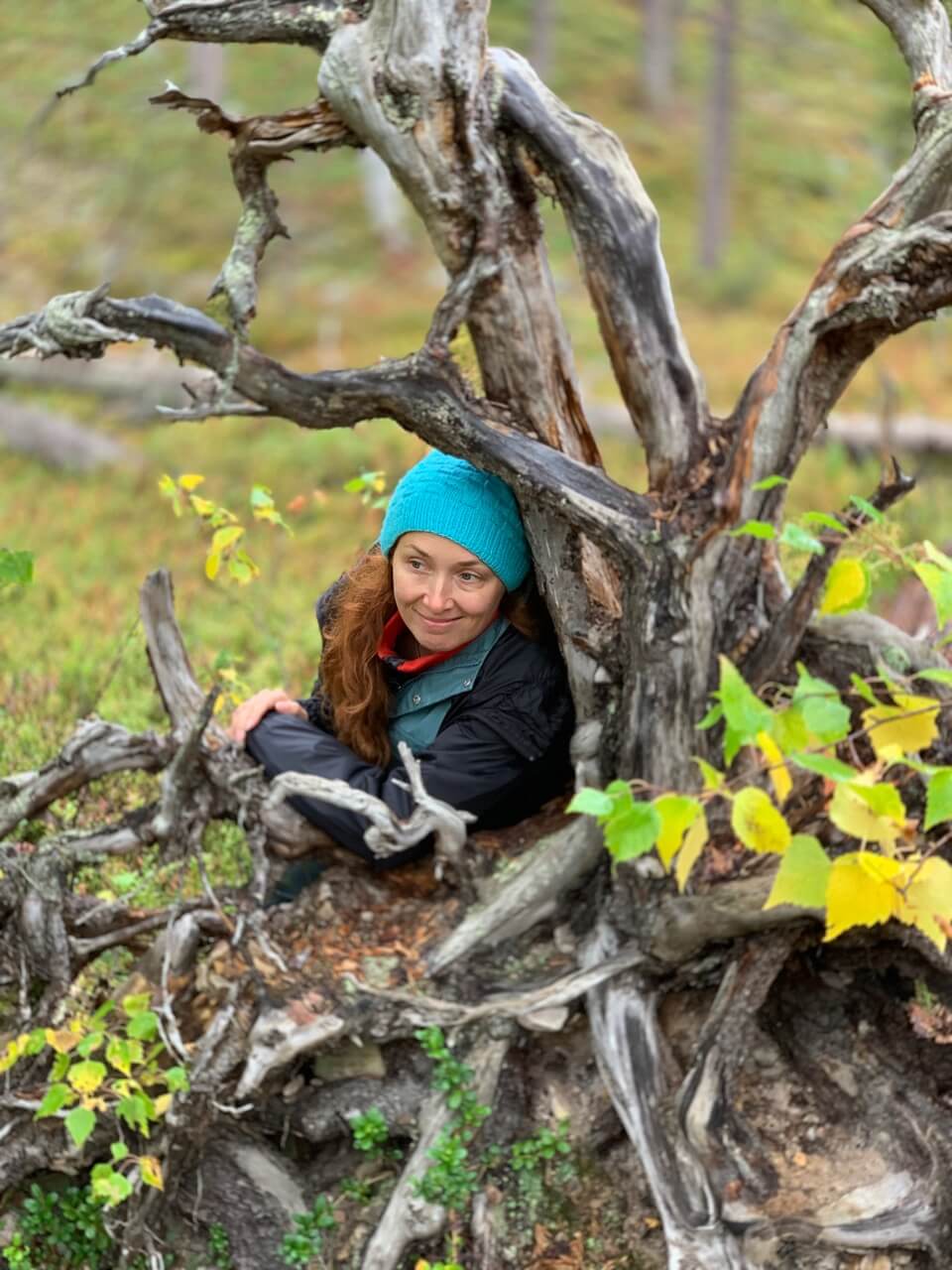 Lapin luonto ja kahdeksan vuodenaikaa