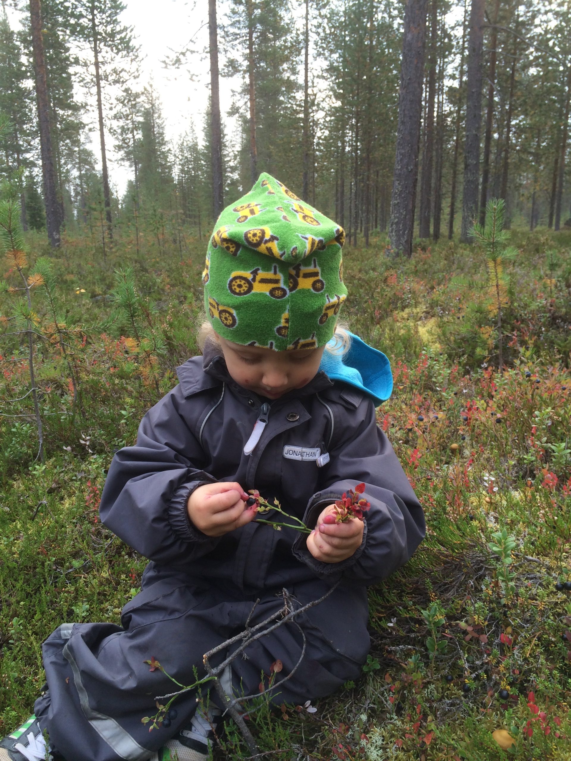 Mustikkamättäällä