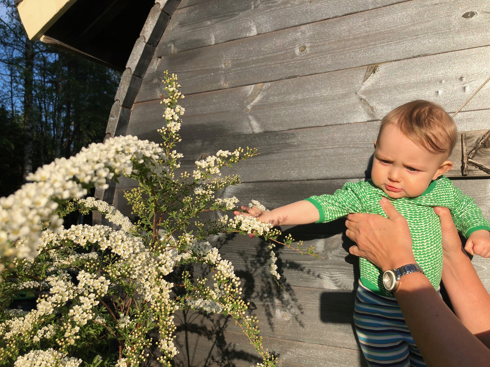 Yrittäjän perhevapaat – vauva-arki ja vanhempainvapaa